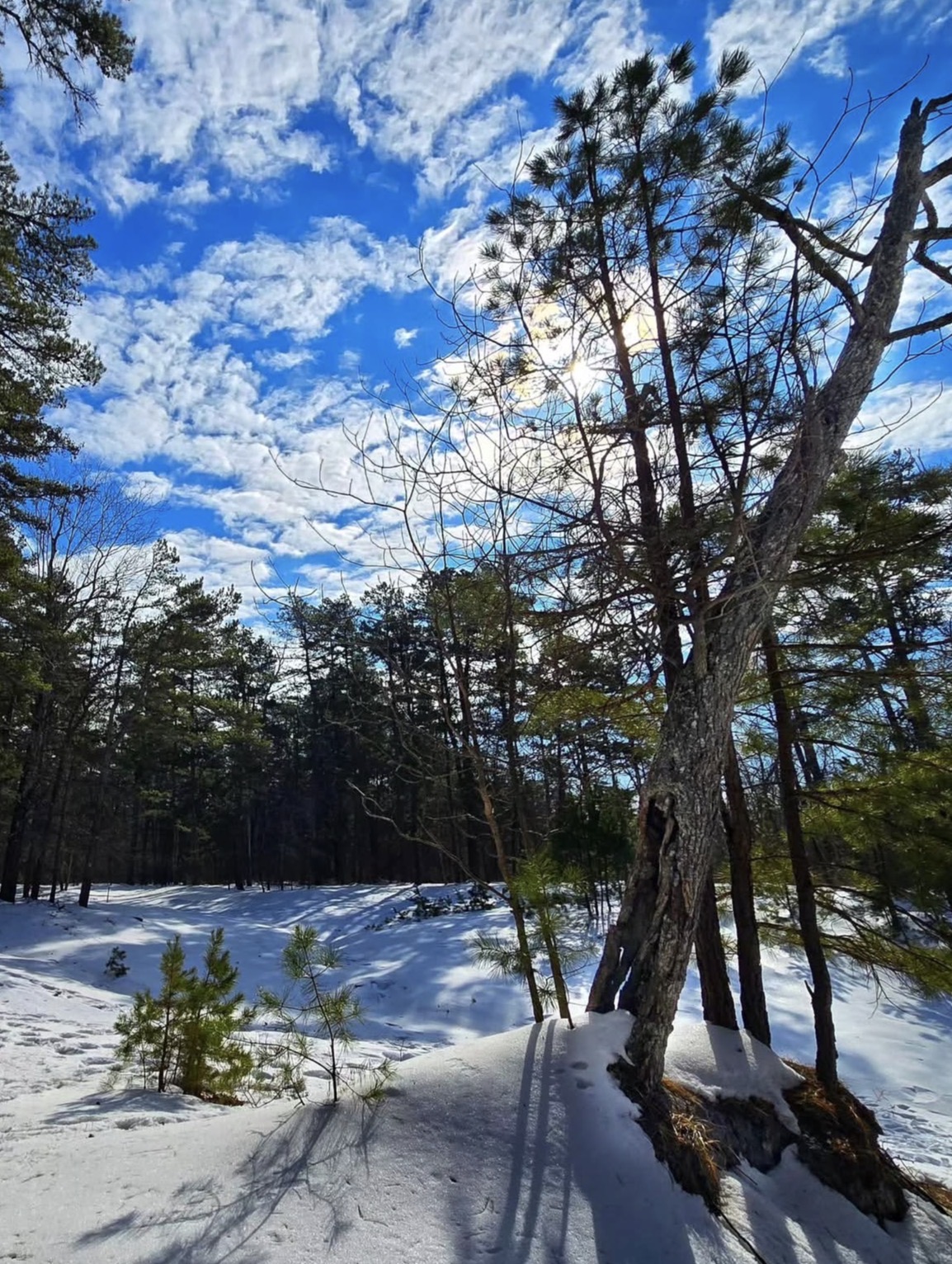 The Mullica River Trail