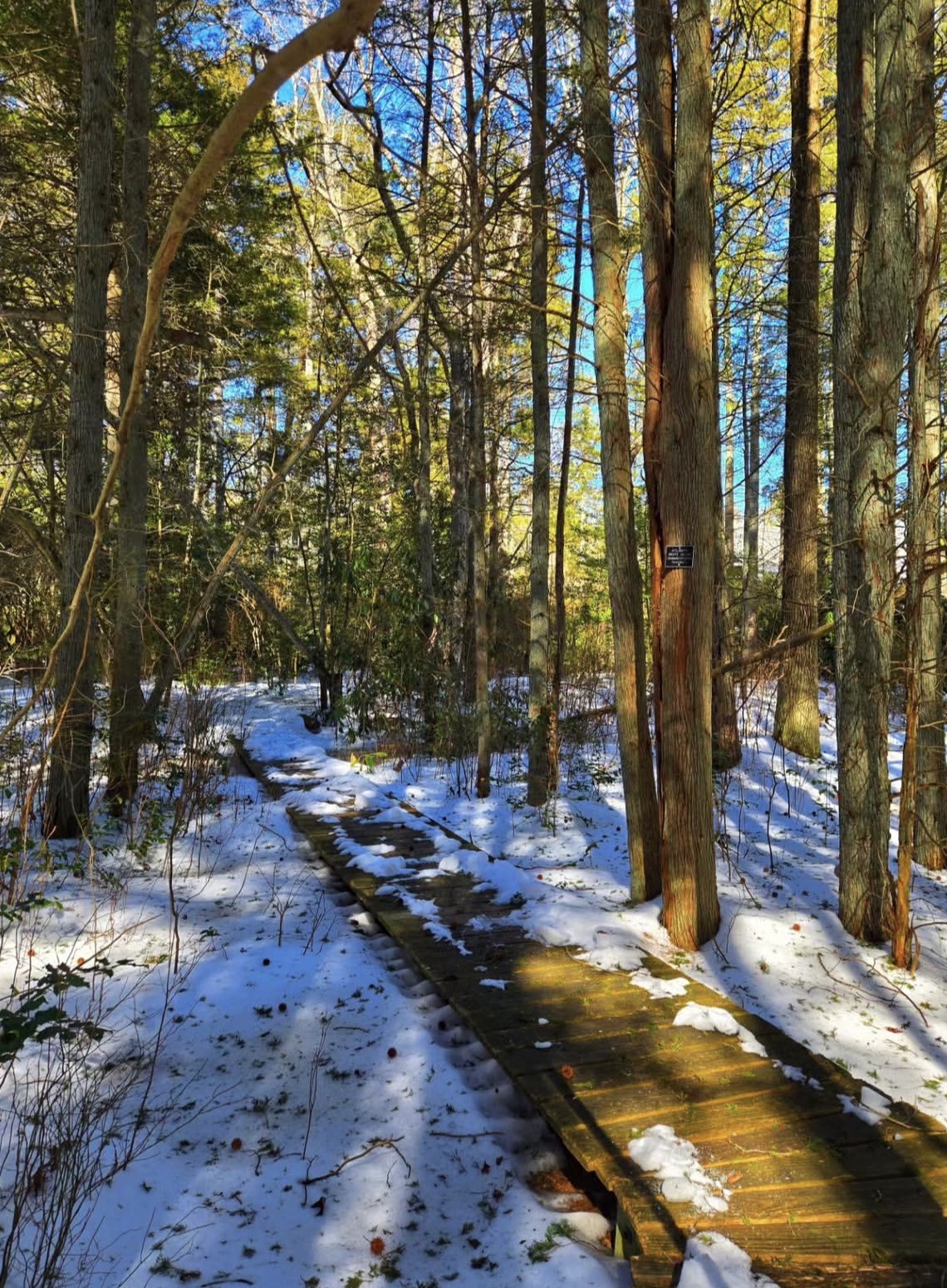 The Boardwalk Garden Trail at Whitesbog