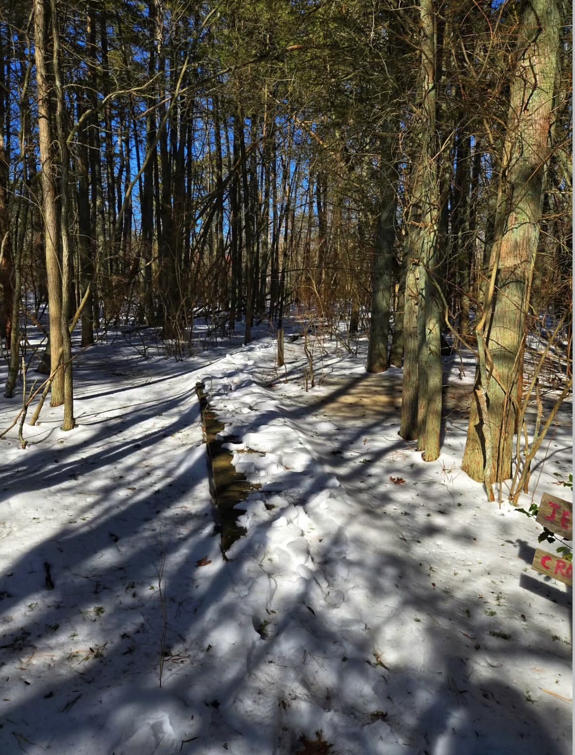 The Boardwalk Garden Trail at Whitesbog