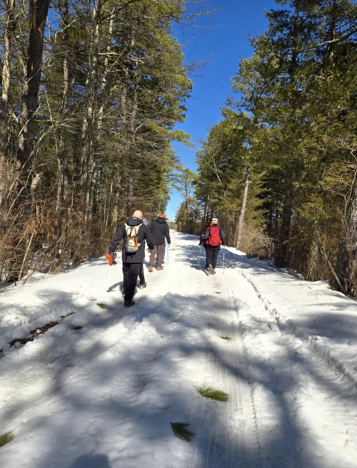 Historic Whitesbog Village