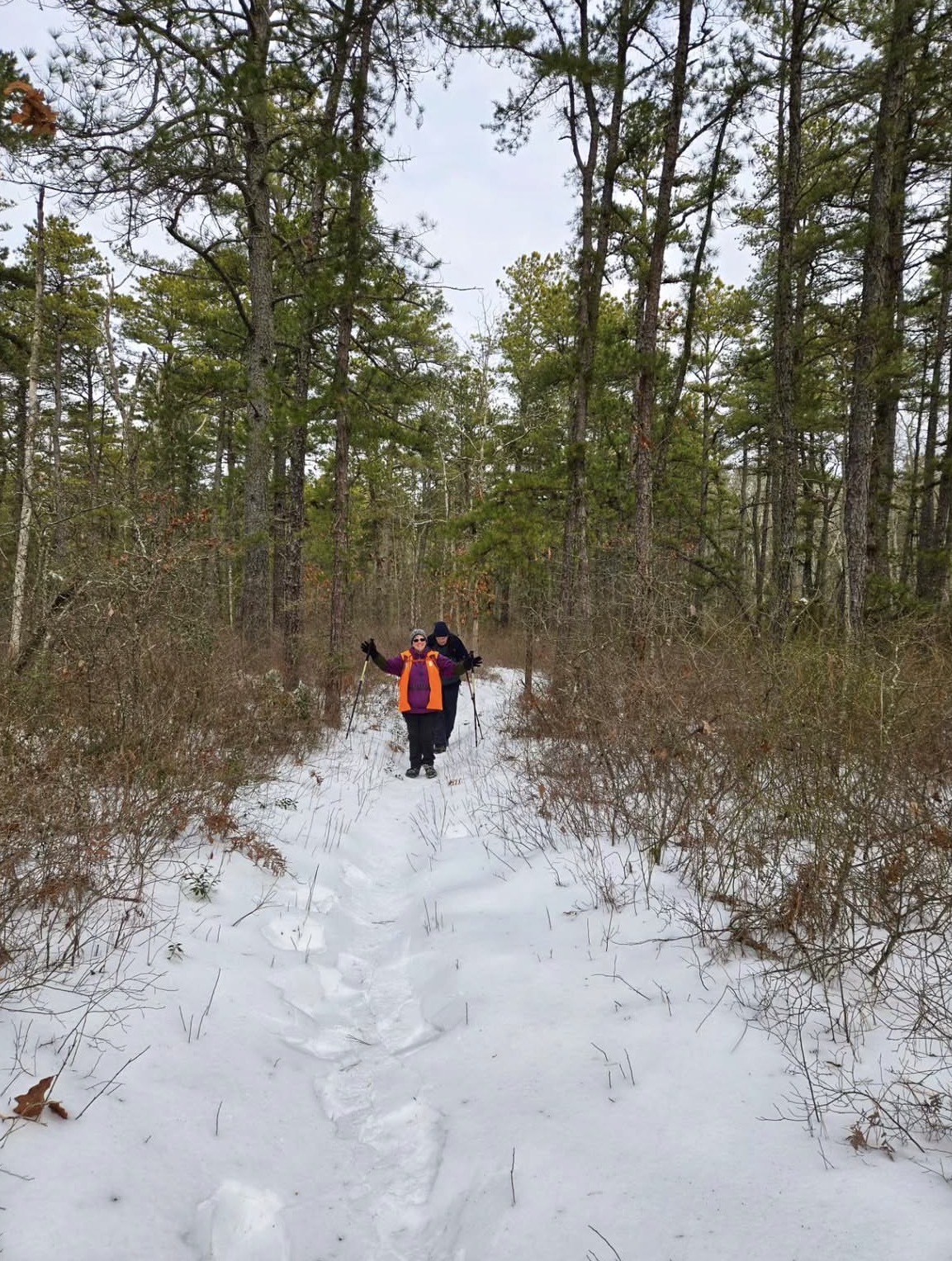 Brendan T. Byrne State Forest