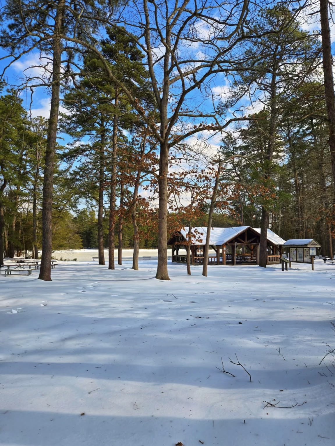 Brendan T. Byrne State Forest