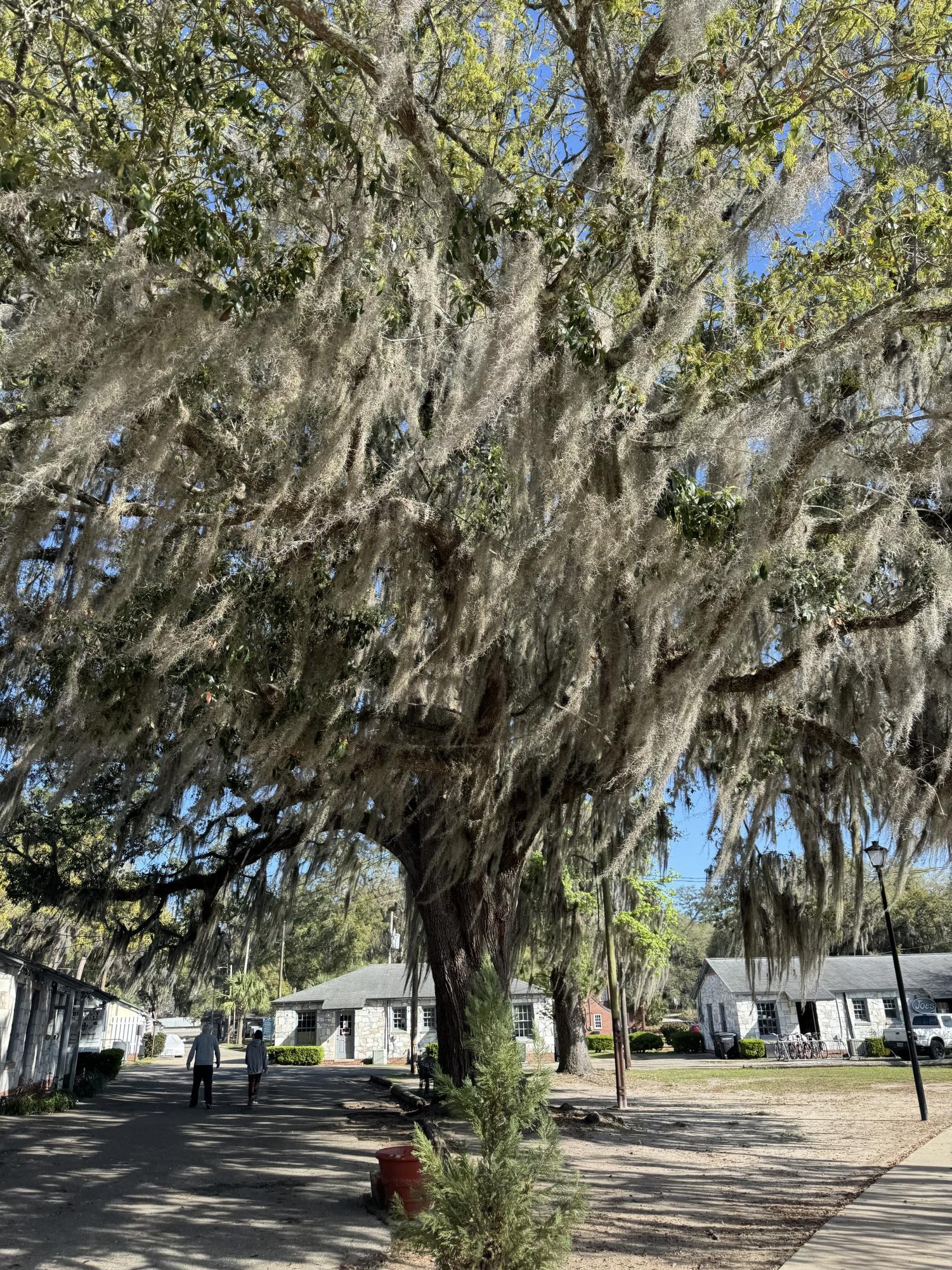 Lake Ella Park in Tallahassee, FL