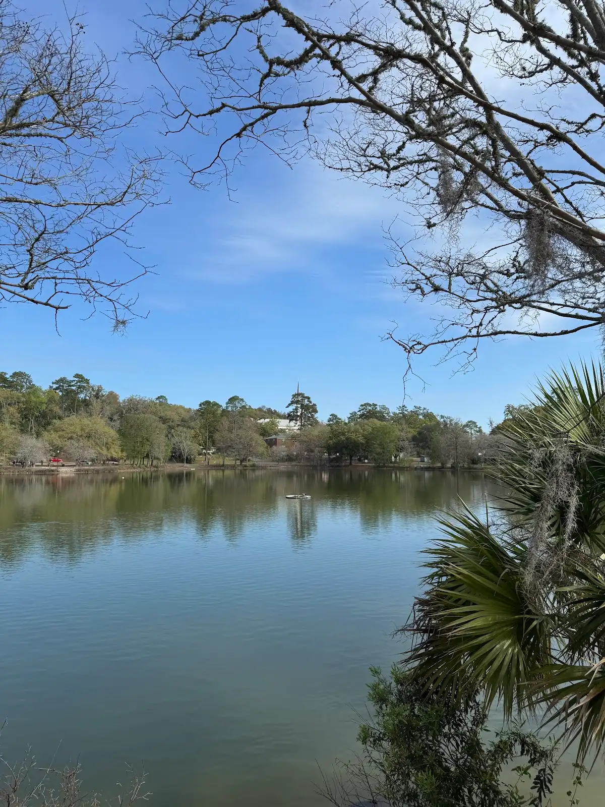 Lake Ella Park in Tallahassee, FL