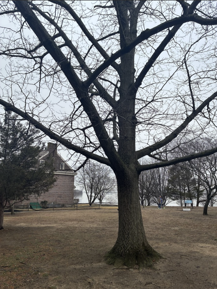 Photo taken by Katie Thorn