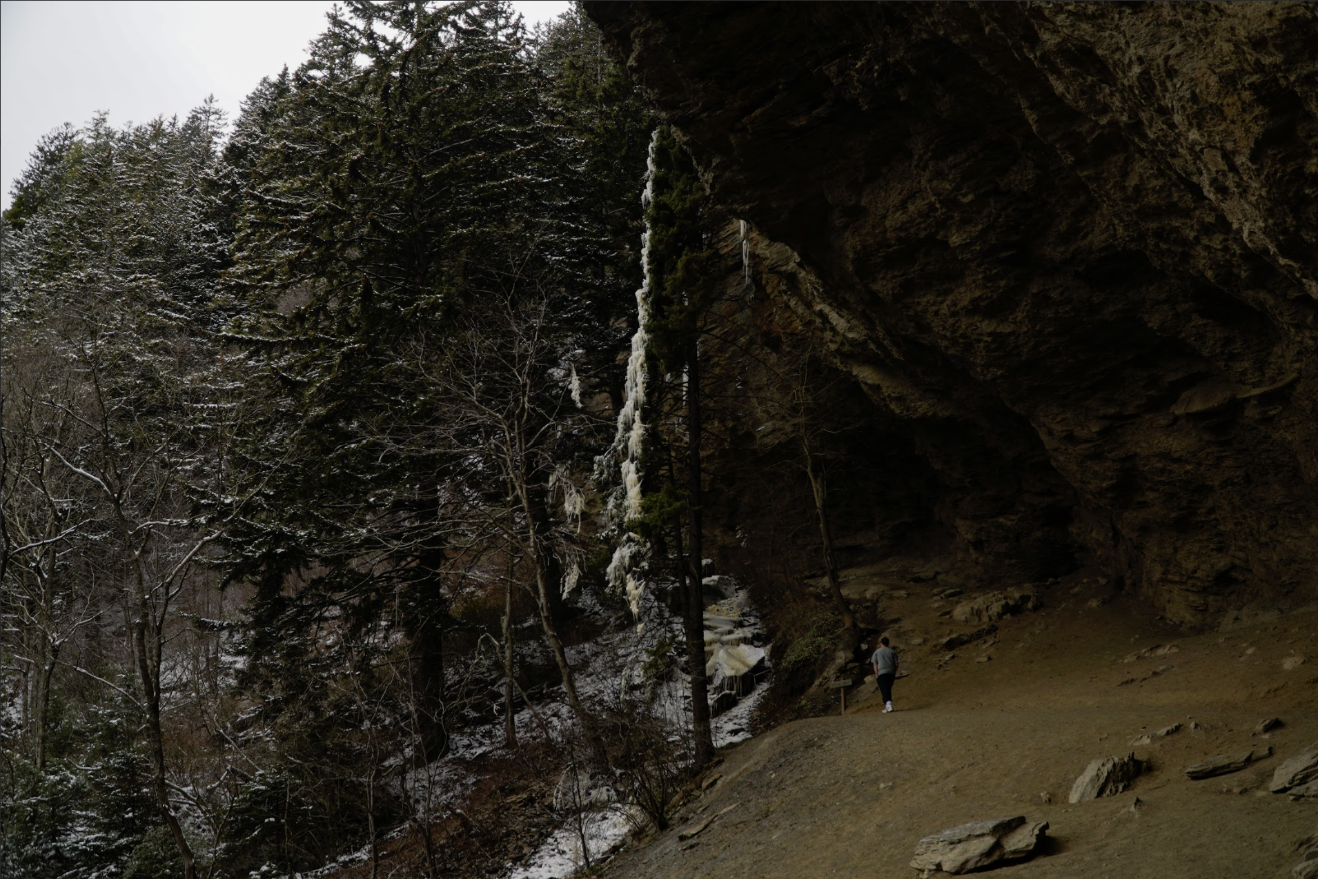 Alum Cave Trail