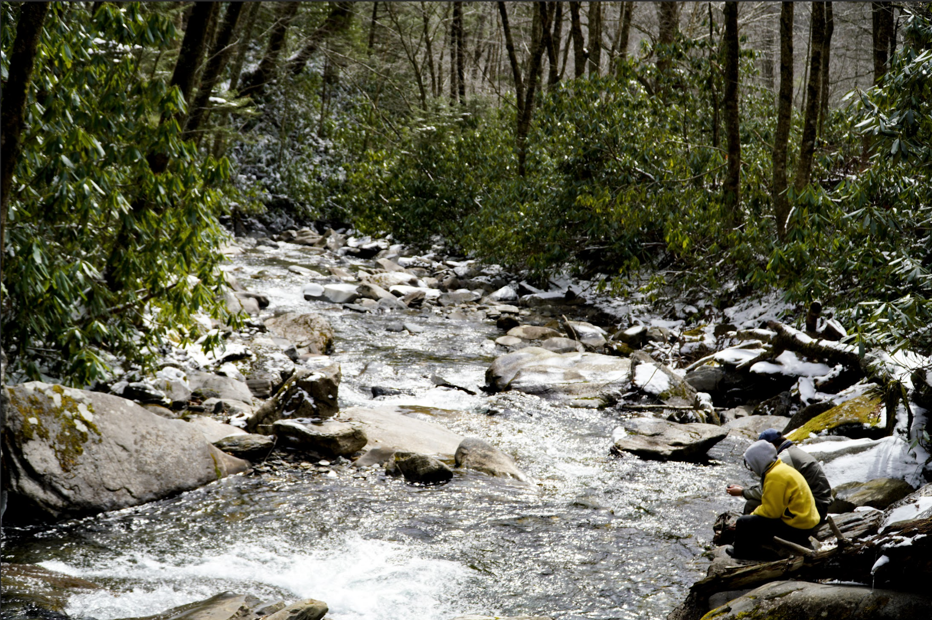 Alum Cave Trail