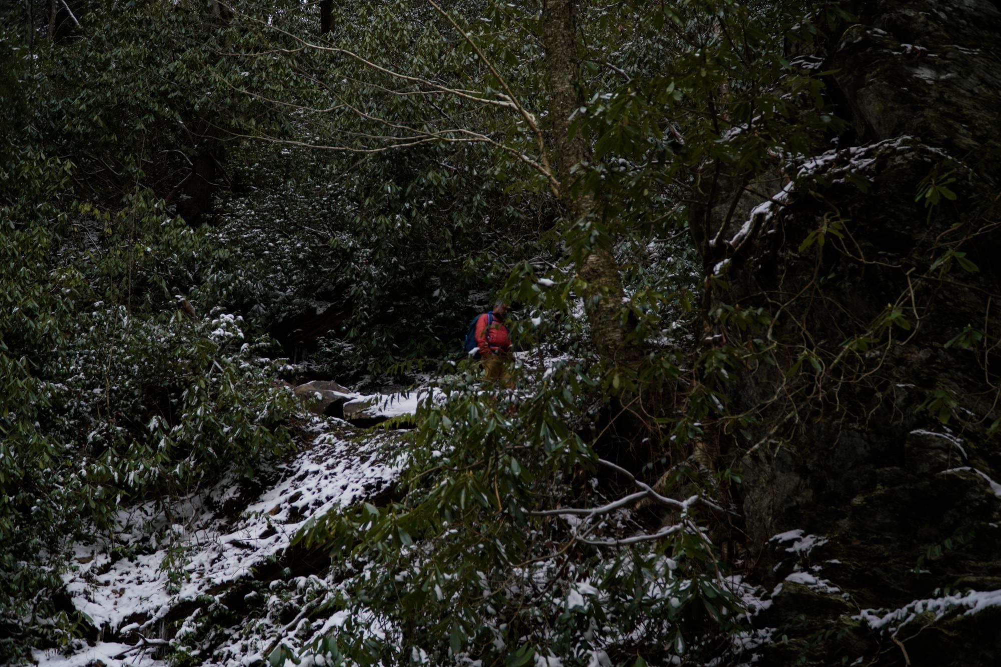 Alum Cave Trail