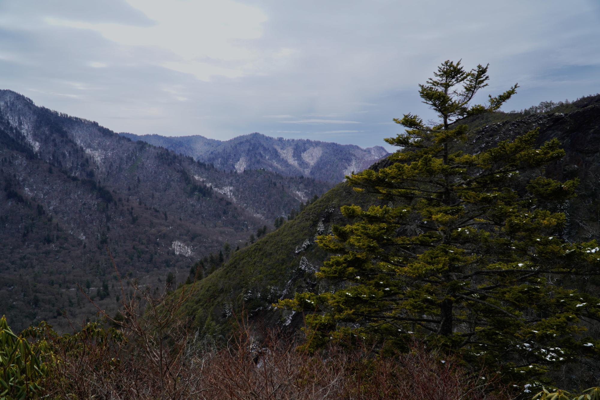 Alum Cave Trail