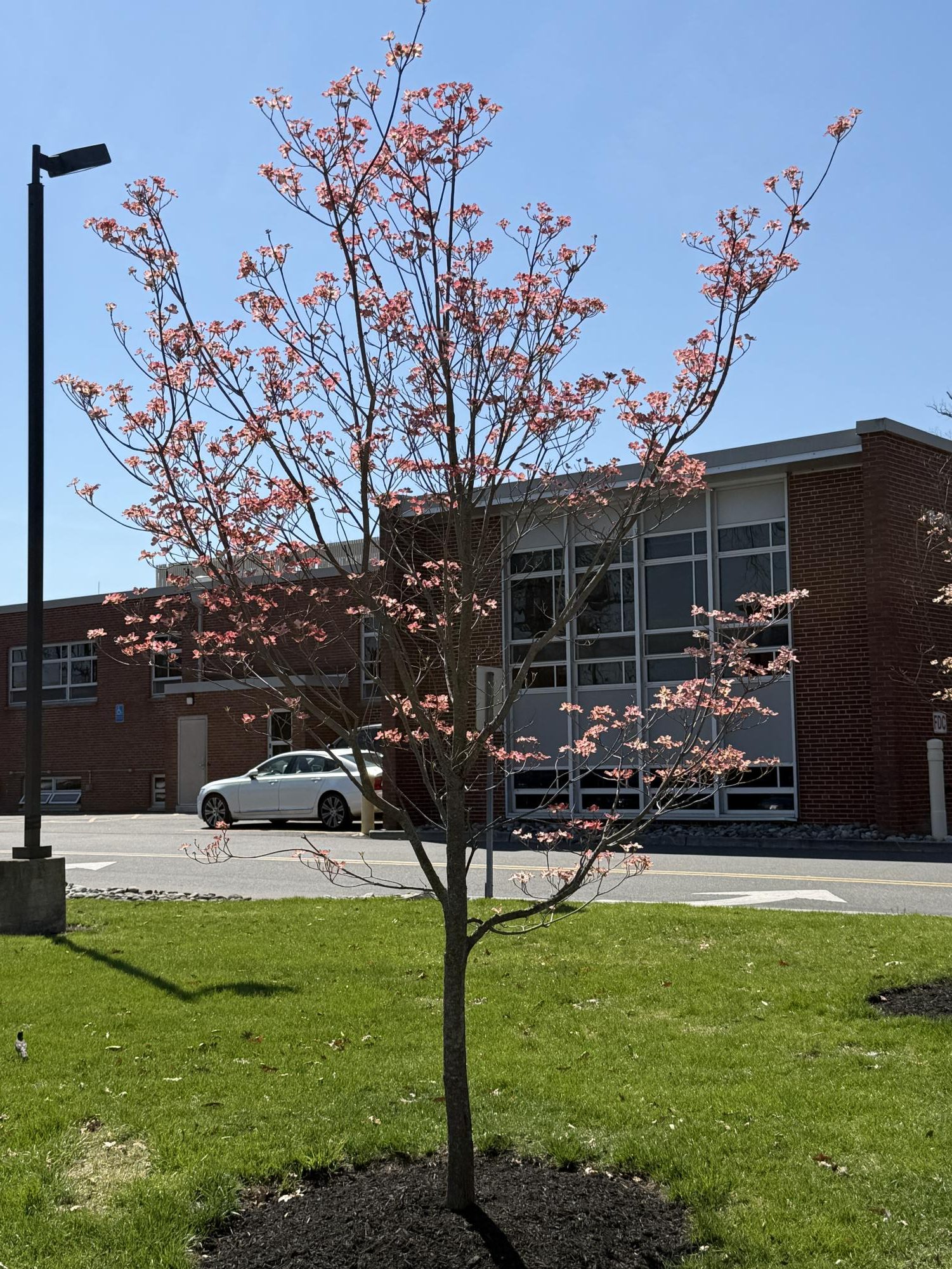 The plant life of the Glassboro campus serves as a resource for education, research and the public.