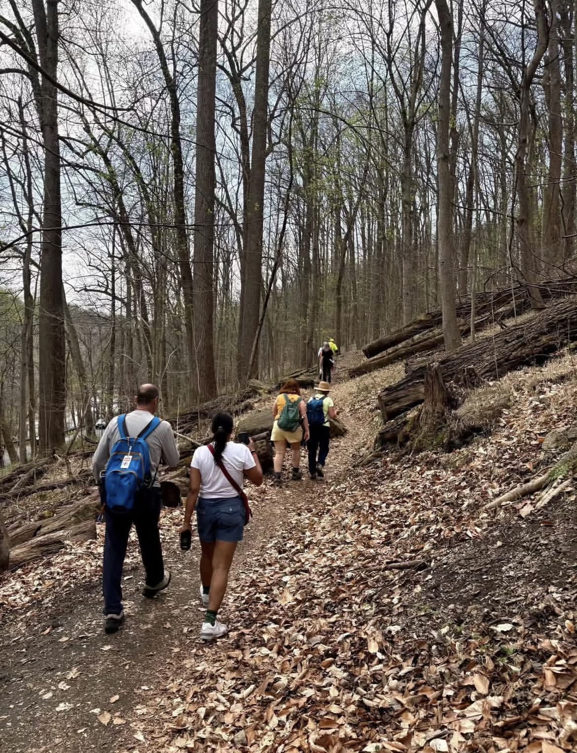 Cascade Falls in Patapsco Valley State Park, Maryland