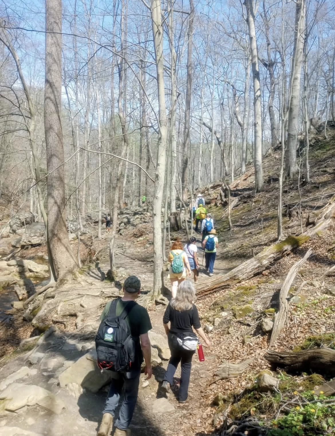 Cascade Falls in Patapsco Valley State Park, Maryland