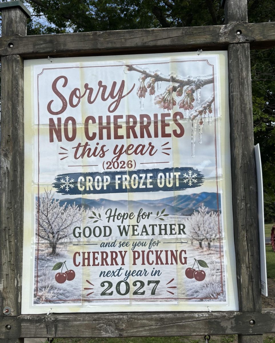 Rowand’s Farm in Glassboro lost its entire cherry crop after a severe freeze on April 20, 2026.