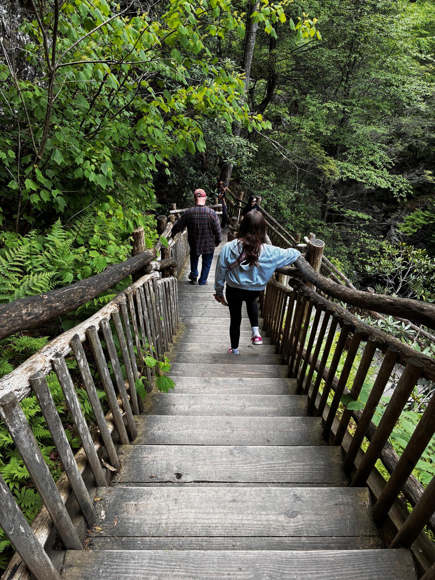 Bushkill Falls
