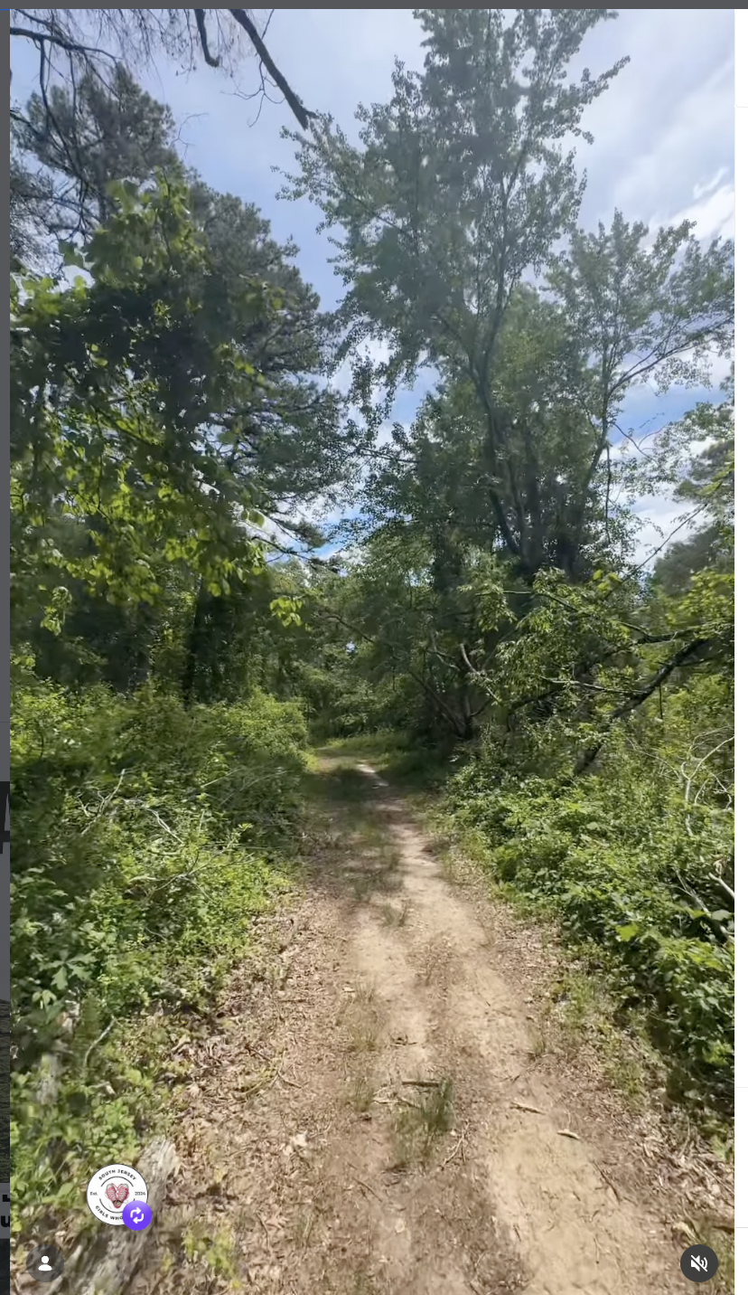 Maurice River Bluffs Preserve