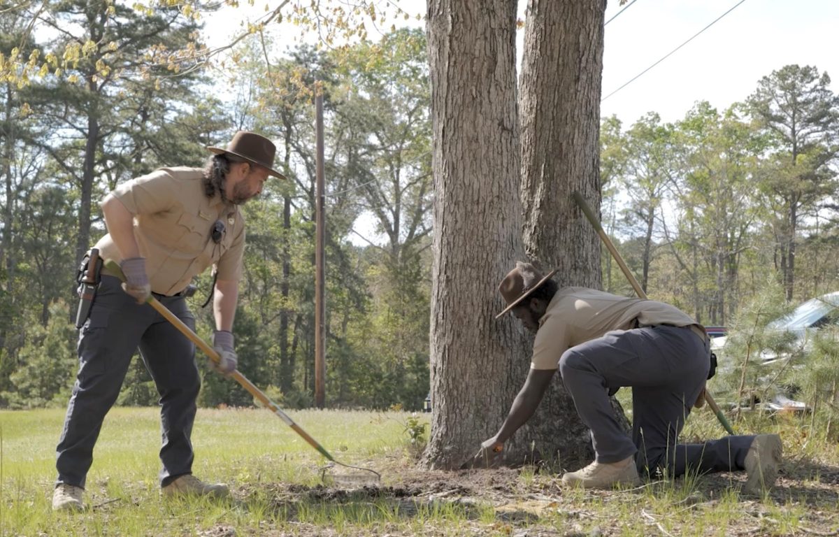 Arborist program trains professionals to care for South Jersey forests